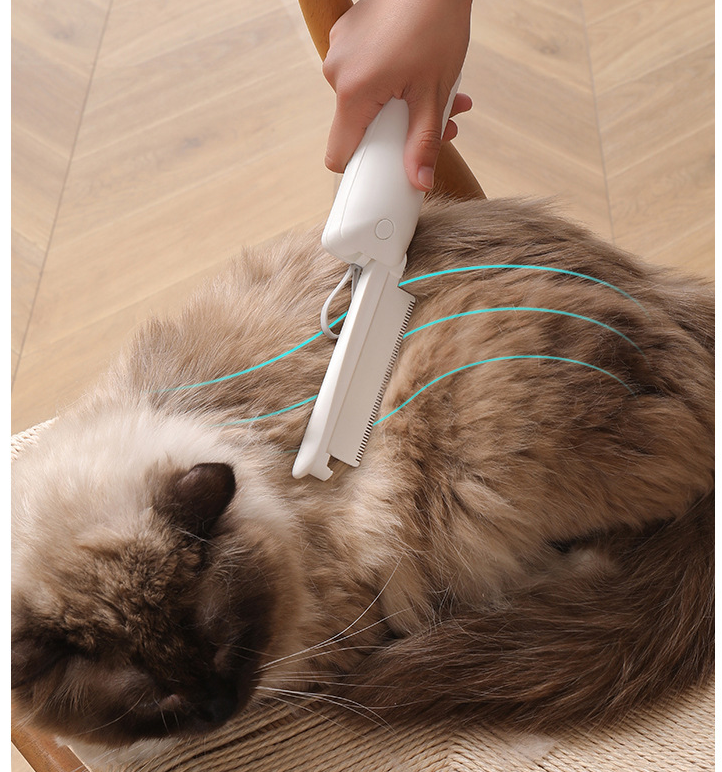 Haustier Haarentfernung Bürste Katze